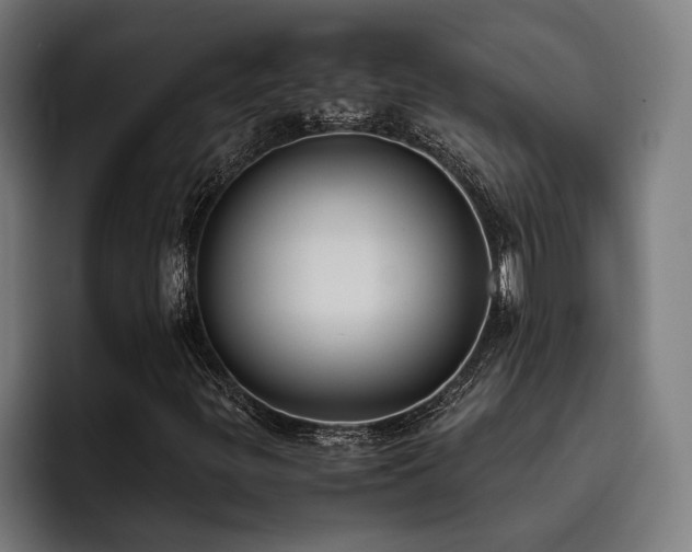 X0000093531299200710121552