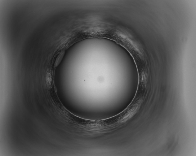 X0000093531300200710121552