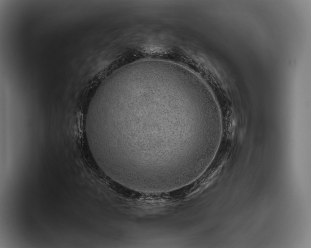 X0000093531301200710121552