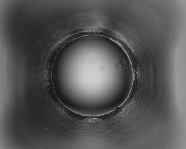X0000093531304200710121552