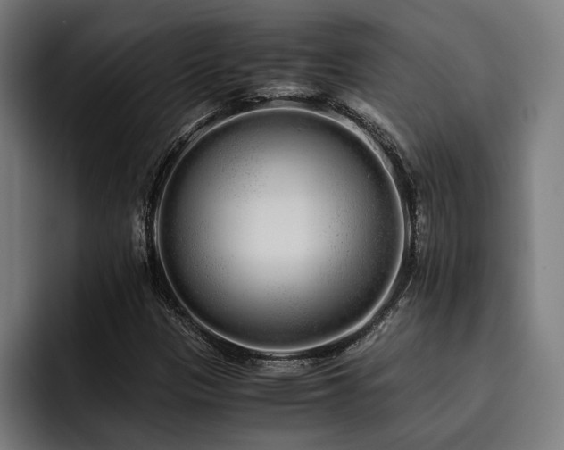 X0000093531305200710121552