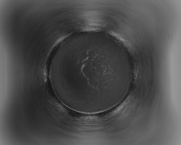 X0000093531306200710121552