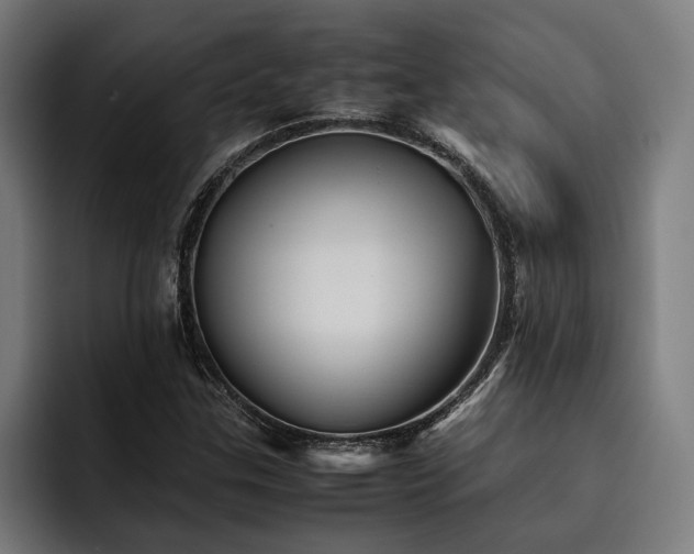 X0000093531307200710121552
