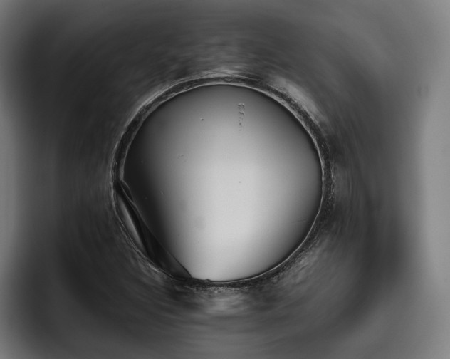 X0000093531308200710121552