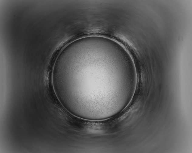 X0000093531309200710121552