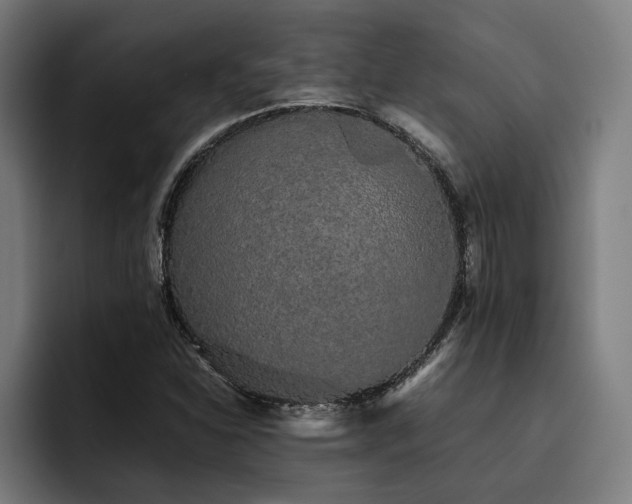 X0000093531310200710121552