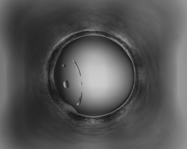 X0000093531311200710121552