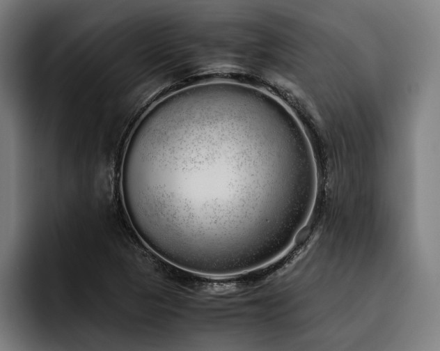 X0000093531313200710121552