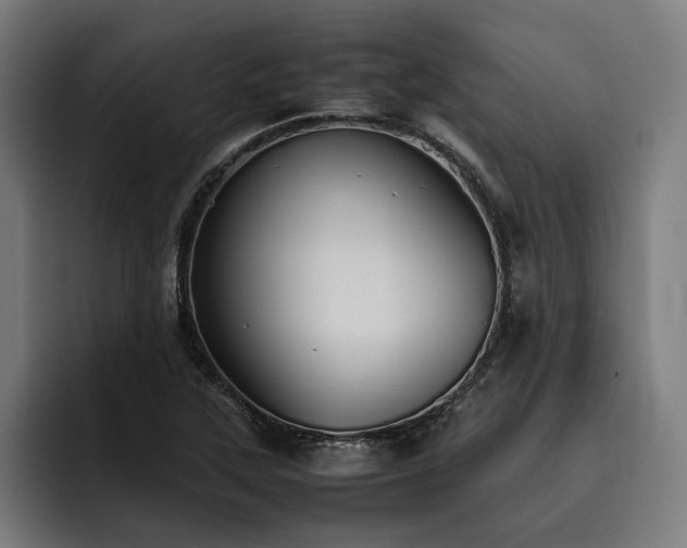 X0000093531315200710121552