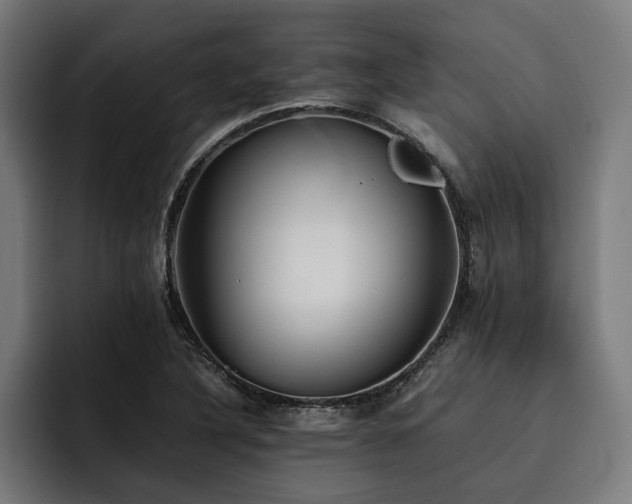 X0000093531316200710121552