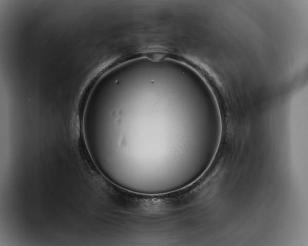 X0000093531317200710121552