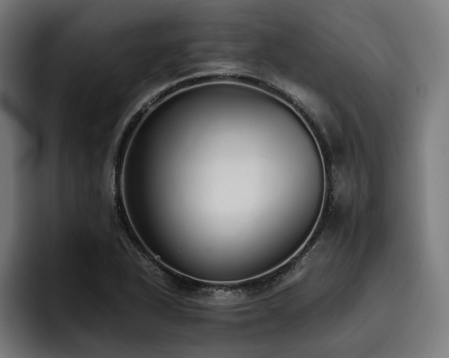 X0000093531318200710121552