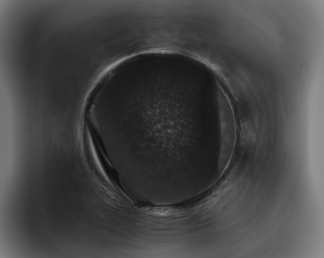 X0000093531319200710121552