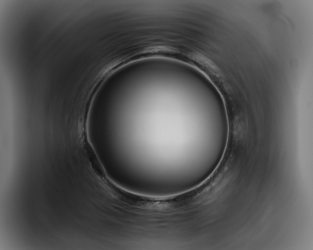 X0000093531321200710121552
