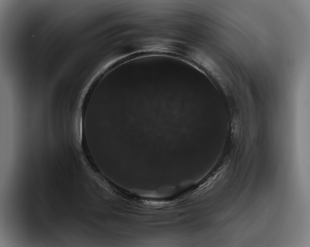 X0000093531323200710121552