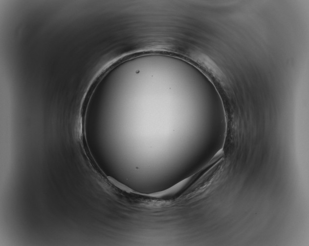 X0000093531324200710121552