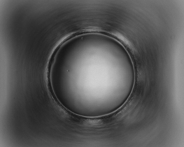 X0000093531325200710121552