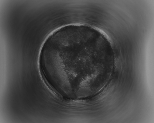 X0000093531327200710121552