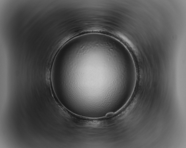 X0000093531329200710121552