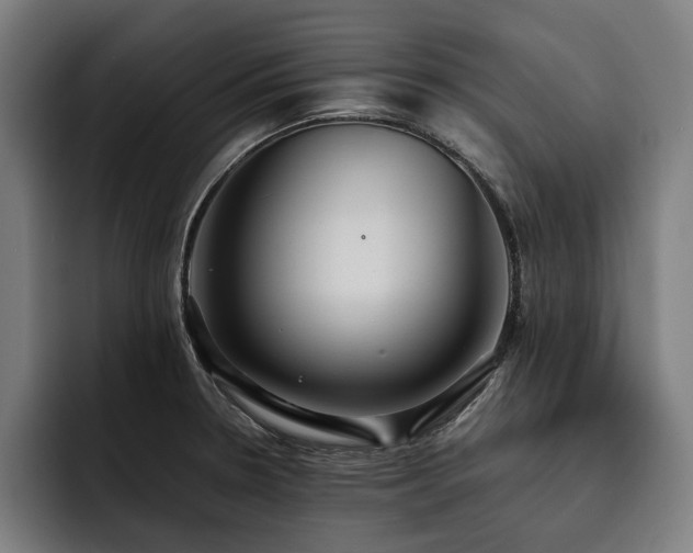 X0000093531330200710121552