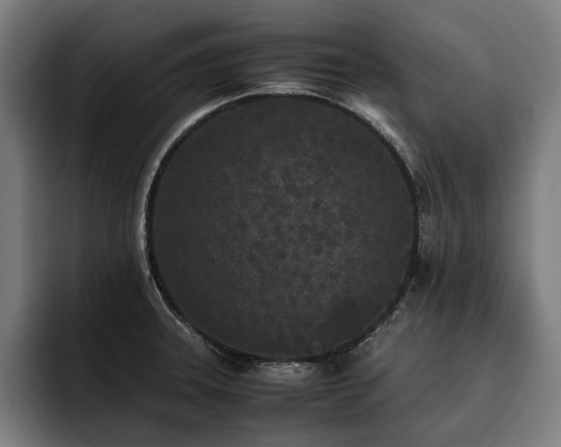 X0000093531331200710121552