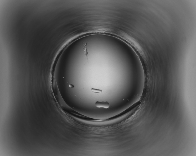 X0000093531332200710121552