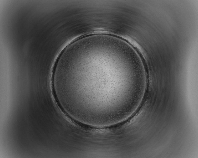X0000093531333200710121552