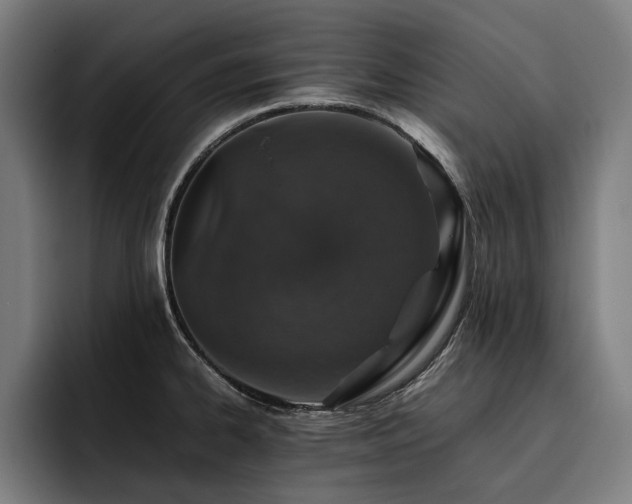 X0000093531334200710121552