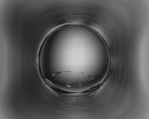 X0000093531335200710121552