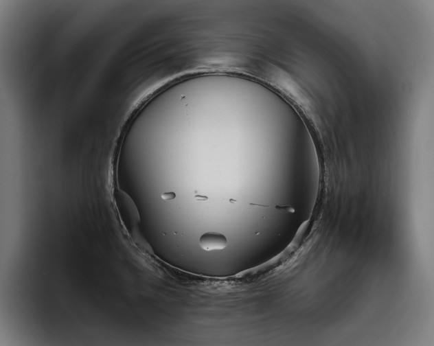 X0000093531336200710121552