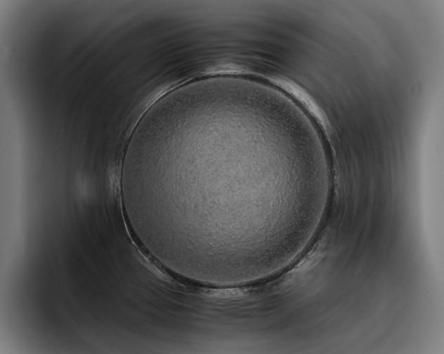 X0000093531337200710121552