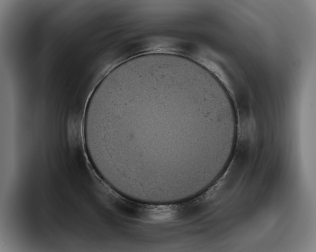X0000093531338200710121552