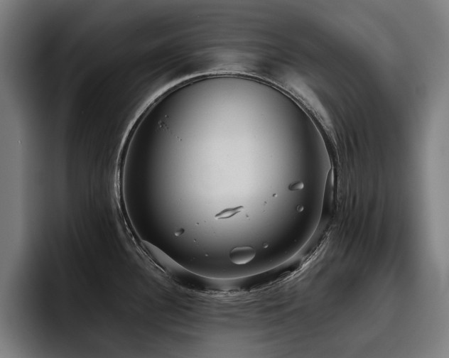 X0000093531340200710121552