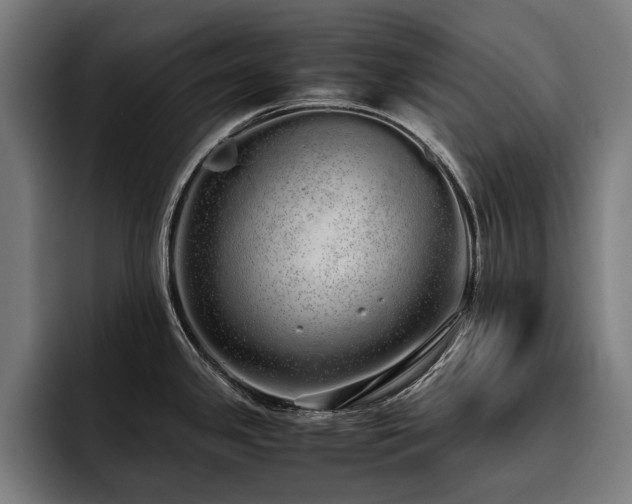 X0000093531341200710121552