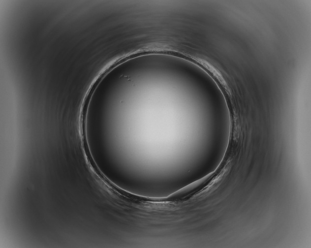 X0000093531342200710121552