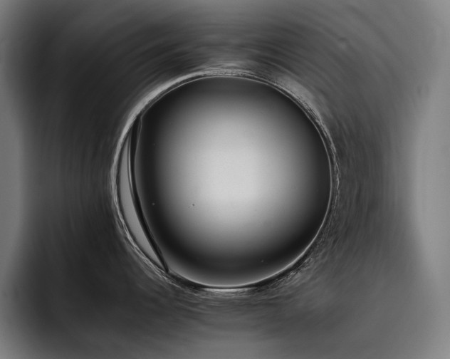 X0000093531344200710121552
