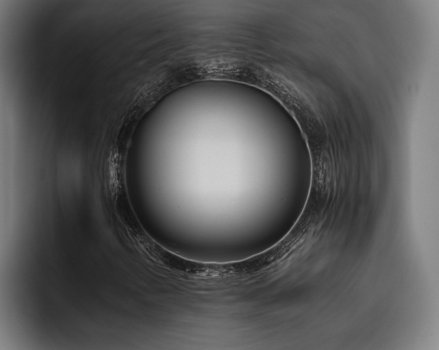 X0000093531346200710121552