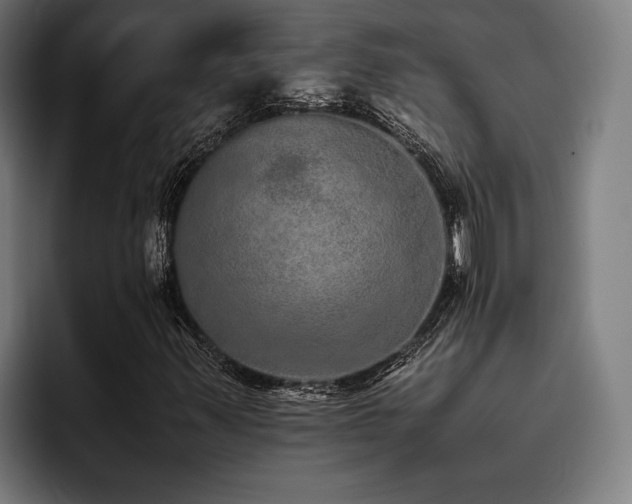 X0000093531347200710121552