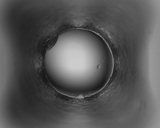 X0000093531349200710121552