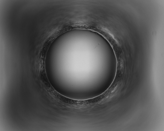 X0000093531350200710121552