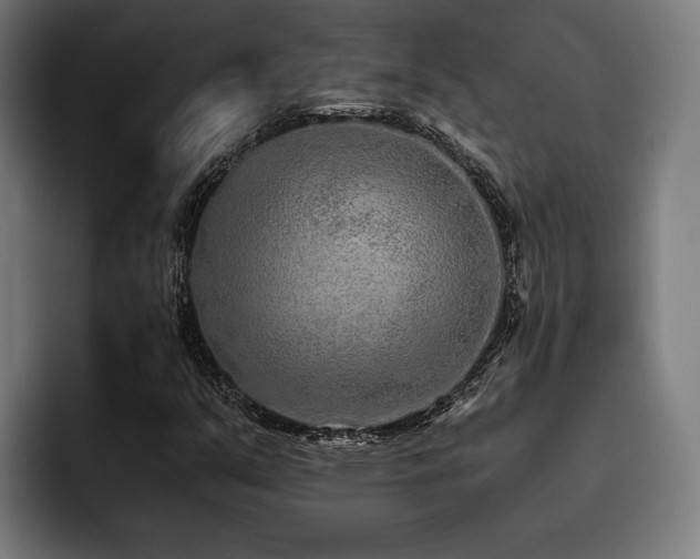 X0000093531351200710121552