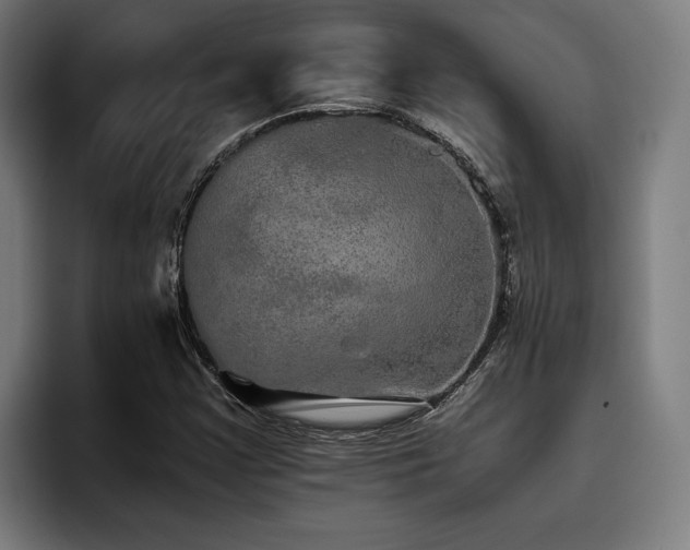 X0000093531355200710121552