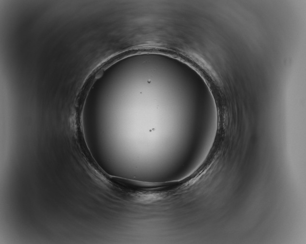 X0000093531356200710121552