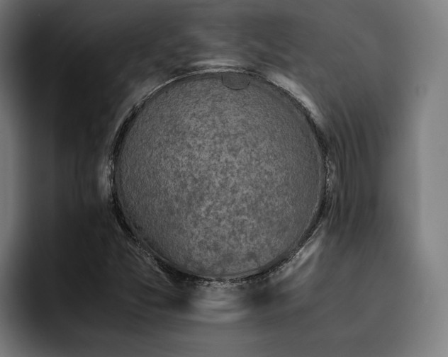 X0000093531357200710121552