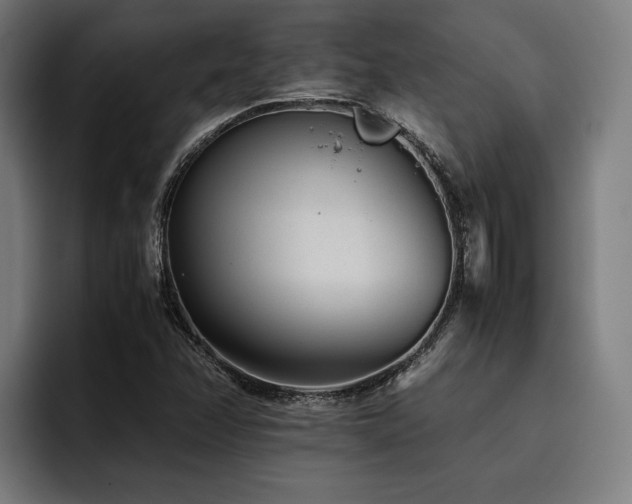 X0000093531358200710121552