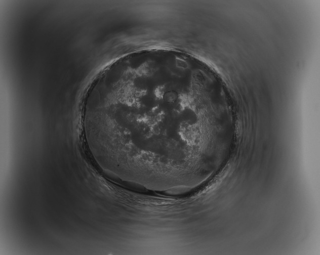 X0000093531359200710121552