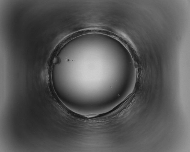 X0000093531360200710121552