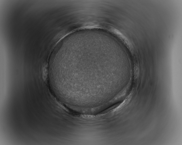 X0000093531361200710121552