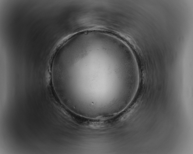 X0000093531363200710121551