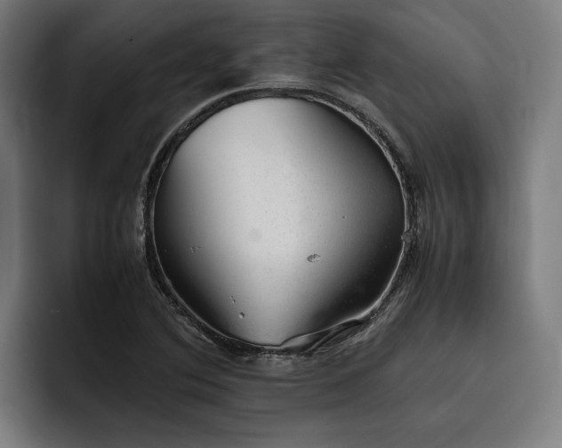X0000093531364200710121551